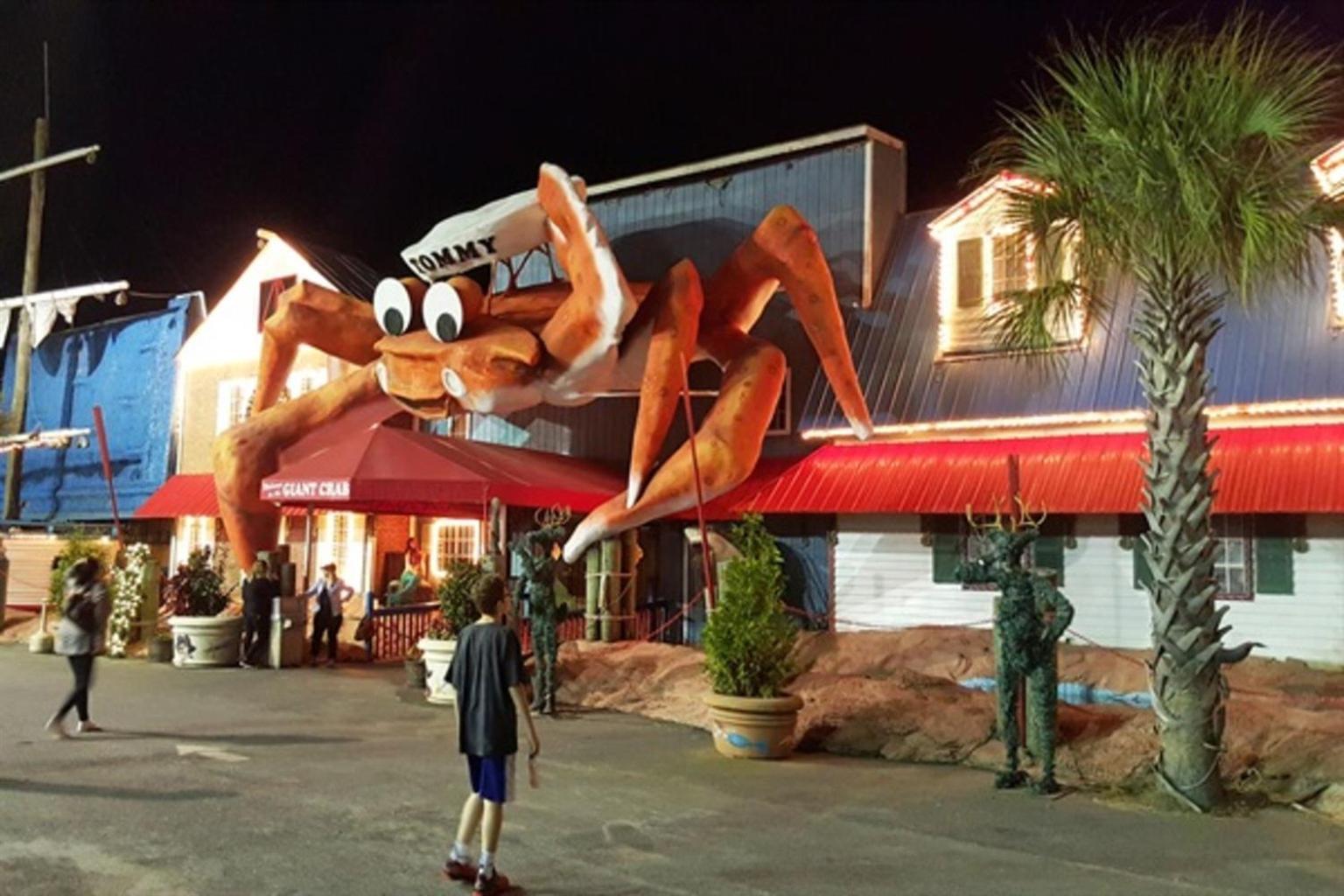 Ocean Annie'S Oceanview Studio,Scenic Views,Pools! Myrtle Beach Exteriör bild